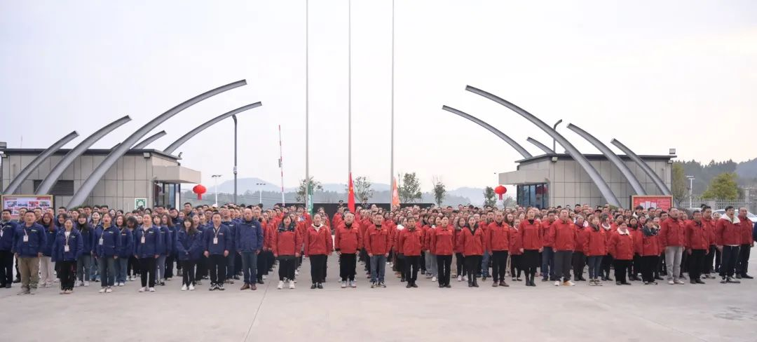 图片 12.png