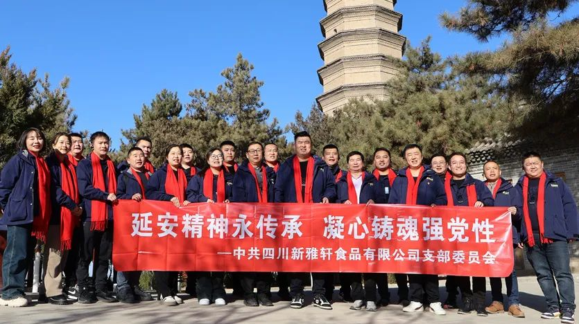 图片 8.png